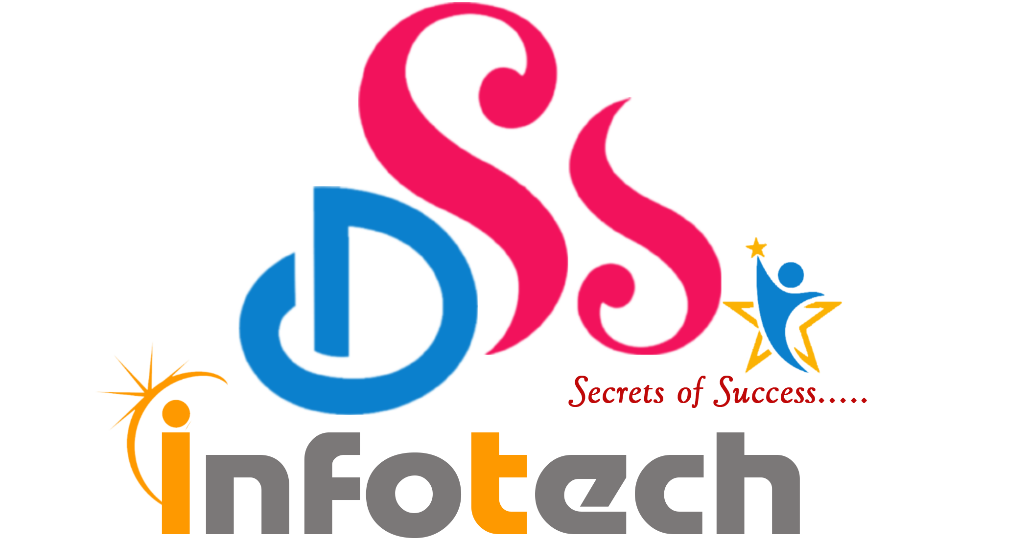 DSS_Logo - TechCentral.ie